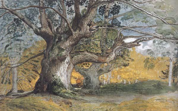 Samuel Palmer Oak Trees,Lullingstone Park China oil painting art